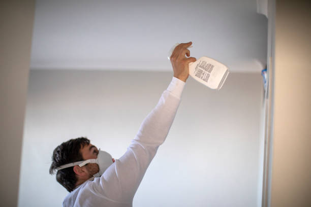 Best Toxic Mold Removal  in Burnet, TX