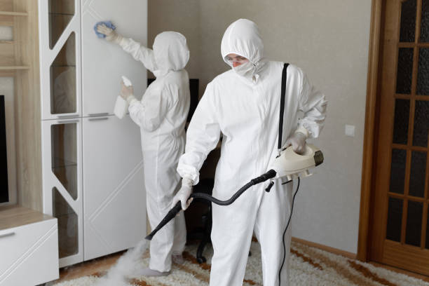 Mold Removal and Inspection in Burnet, TX