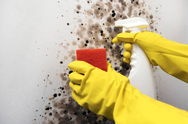 Water Damage Restoration in Burnet, TX