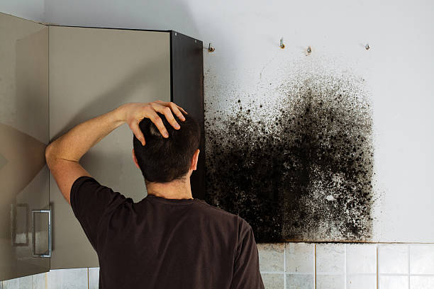 Best Mold Cleaning Services  in Burnet, TX